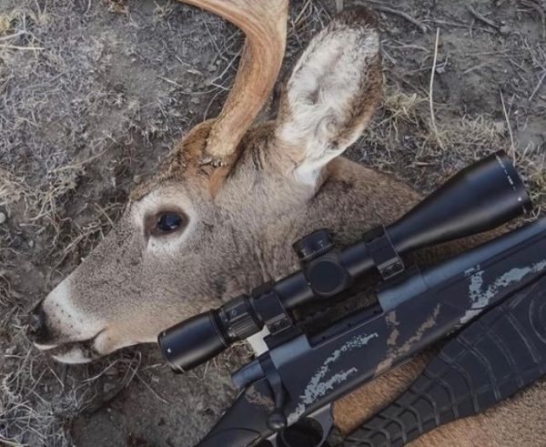 Best Scopes for Deer Hunting