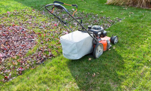Best Lawn Mower for Mulching Leaves