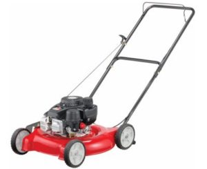 Best Gas Lawn Mowers