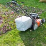 Pros and Cons of Mulching Leaves