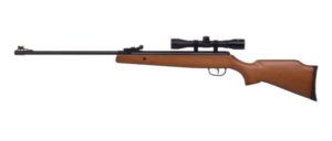 Crosman Air Rifle