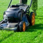 Best Electric Lawnmower for Large Garden