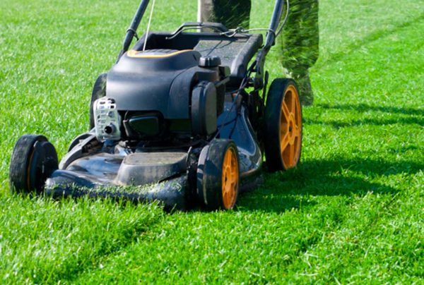 Best Electric Lawnmower for Large Garden