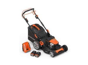 Best Electric Lawnmower for Large Garden