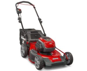 Best Electric Lawnmower for Large Garden