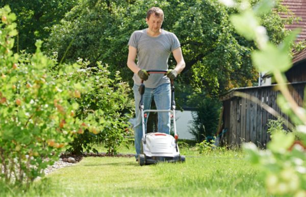 Best Lawn Mower for Florida Grass