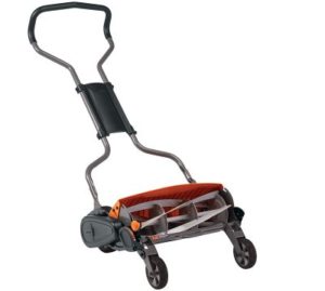 Best Lawn Mower for Florida Grass