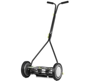 Best Lawn Mower for Florida Grass