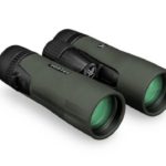 Best Vortex 10x42 Binoculars