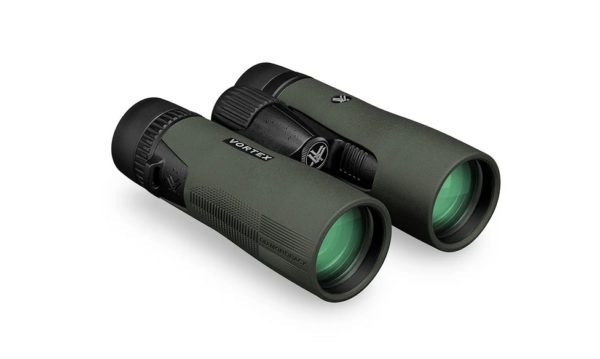 Best Vortex 10x42 Binoculars