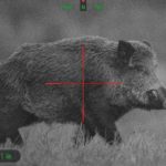 How Far Can You See with Night Vision Scope?