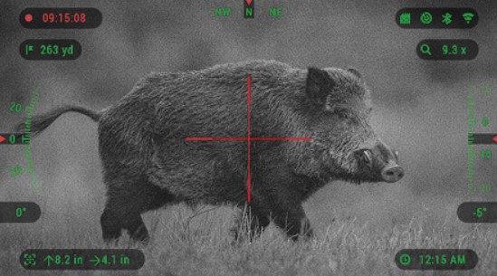 How Far Can You See with Night Vision Scope?