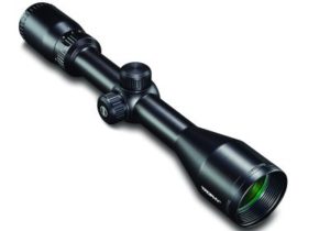 Best Scope for 270