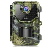 Best Trail Camera for Birds Watching