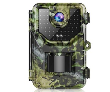 Best Trail Camera for Birds Watching