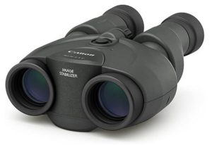 Best Image Stabilized Binoculars for Birding