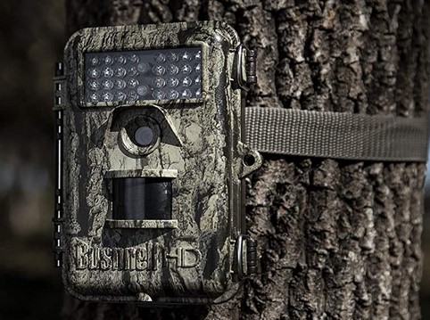 Best Wireless Trail Camera