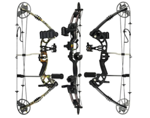 Best Beginner Compound Bows