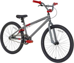 Dynacraft Tony Hawk 24 Inch Bike 
