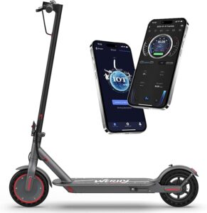 WERHY Electric Scooter